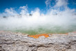 Champagne Pool in Wai-O-Tapu Geothermal Wonderland, New Zealand