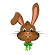 Hase Osterhase Ostern
