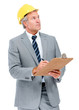 Surveying the structure - Engineer/Architect