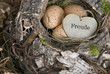 Nest mit Herz