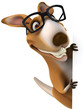 Fun kangaroo