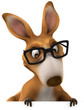 Fun kangaroo