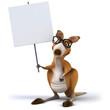 Fun kangaroo