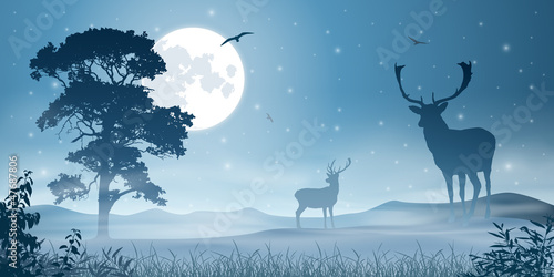 Vector: Male Stag Deer on a Misty Meadow with Night Sky and Moon Male Stag Deer on a Misty Meadow with Night Sky and Moon