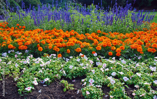 Photo: Flowerbed Flowerbed