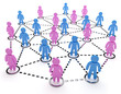 network