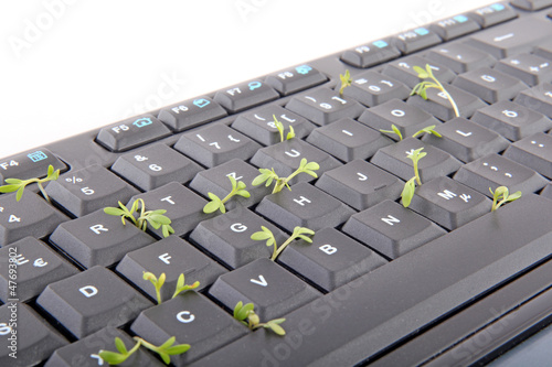 Photo: Tastatur mit Kresse Tastatur mit Kresse