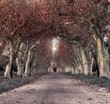 Photo: Beautiful alley with mansion in the end Beautiful alley with mansion in the end
