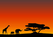 Afrika