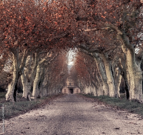 Photo: Beautiful alley with mansion in the end Beautiful alley with mansion in the end