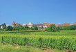 der Wein-und Touristenort Zellenberg im Elsass