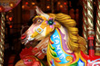 merry-go-round merry-go-round