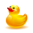 Rubber duck vector icon