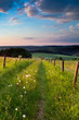 Photo: sunset trail sunset trail