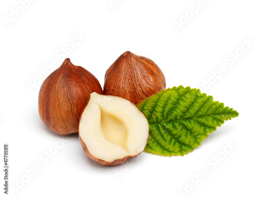 Photo: Hazelnuts with leaf isolated on white background Hazelnuts with leaf isolated on white background