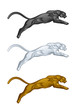 Vector: Puma Puma
