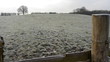 Winter field covered in frost. Camera move then hold.
