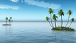 Palms