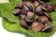 vongole