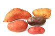 Bunte Kartoffeln