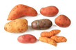 Bunte Kartoffeln