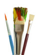 Foto: Farben 5 Farben 5