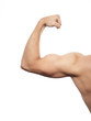 Arm Muskeln