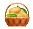 Raw potatoes in a basket