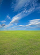 Photo: Field of green grass Field of green grass