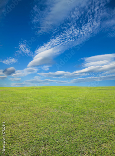 Photo: Field of green grass Field of green grass