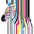 Modern abstract zebra cmyk concept