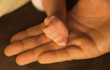 hold new lifes hand
