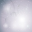 Flowers Anise / Snowy floral background
