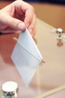 Voting , elections