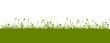 grüne Wiese Panorama