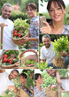 Montage of a couple picking produce