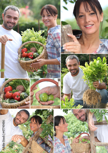 Photo: Montage of a couple picking produce Montage of a couple picking produce