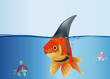 Poisson_Requin