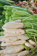 radish