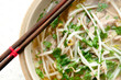 vietnamese pho soup