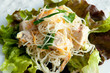 diced chicken with rice noodles in cool summer salad