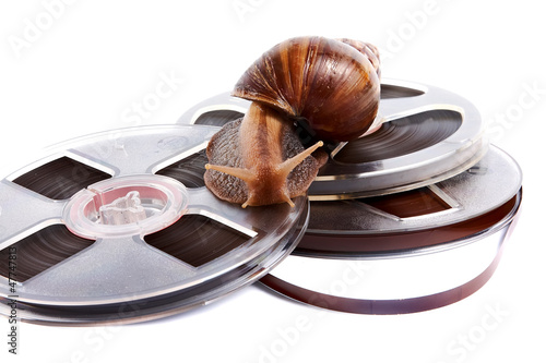 Photo: The snail creeps on a recorder tape The snail creeps on a recorder tape