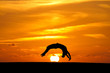 Photo: gymnast in sunset doing a back handspring gymnast in sunset doing a back handspring