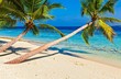 Tropical beach