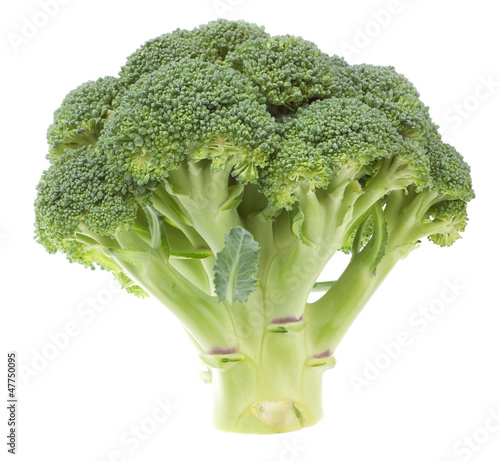 Photo: Vegetable broccoli on a white background. Close-up. Vegetable broccoli on a white background. Close-up.