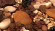 Nuts, dried fruit, chocolate, pan left