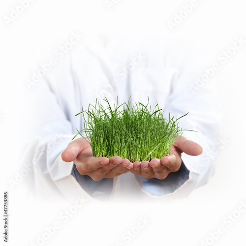 Photo: hands and plant hands and plant