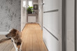 Modern corridor interior design