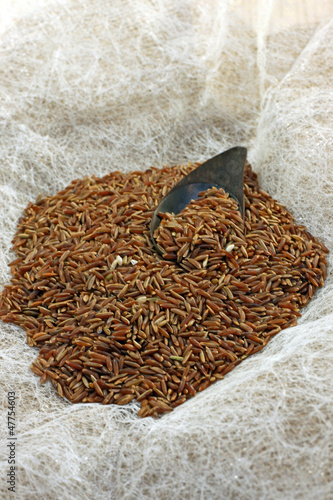 Photo: Brown Ermes rice Brown Ermes rice