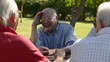 Old people, group of senior men having fun and laughing in park